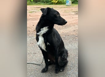 Elsie ❤️ wartet in 09648 Mittweida Elsie ❤️ wartet in 09648 Mittweida