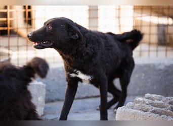 Vinn ❤️ schmusiger, süßer Bub sucht Liebe
