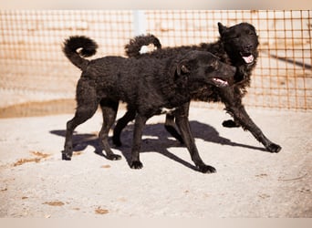 Vinn ❤️ schmusiger, süßer Bub sucht Liebe