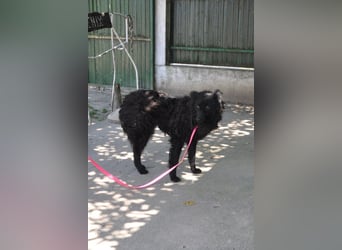 Juliška ❤ mit sanftem und zärtlichem Wesen