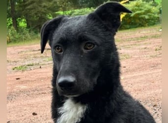 Elsie ❤️ wartet in 09648 Mittweida Elsie ❤️ wartet in 09648 Mittweida