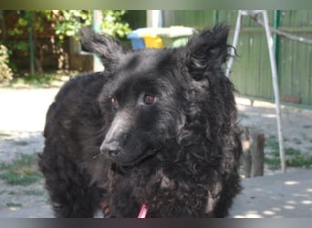 Juliška ❤ mit sanftem und zärtlichem Wesen