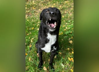 Elsie ❤️ wartet in 09648 Mittweida