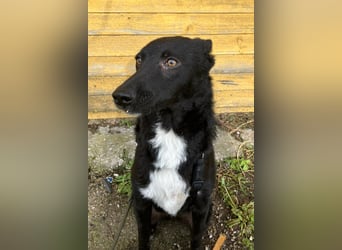 Elsie ❤️ wartet in 09648 Mittweida Elsie ❤️ wartet in 09648 Mittweida