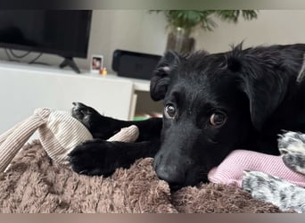 Herzchen Enya ❤️ wartet in 04157 Leipzig auf dich