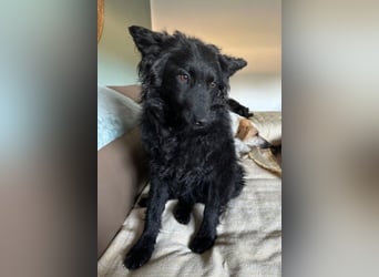 Ayla ❤️ wartet in 31621 Pennigsehl auf dich
