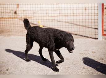 Vinn ❤️ schmusiger, süßer Bub sucht Liebe