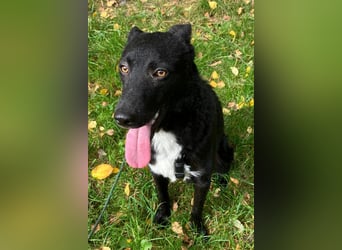 Elsie ❤️ wartet in 09648 Mittweida