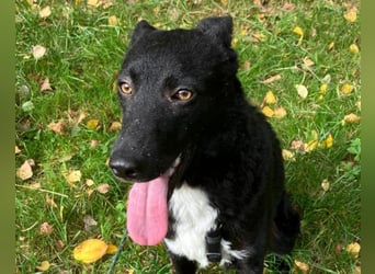 Elsie ❤️ wartet in 09648 Mittweida Elsie ❤️ wartet in 09648 Mittweida