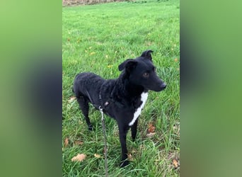 Elsie ❤️ wartet in 09648 Mittweida Elsie ❤️ wartet in 09648 Mittweida