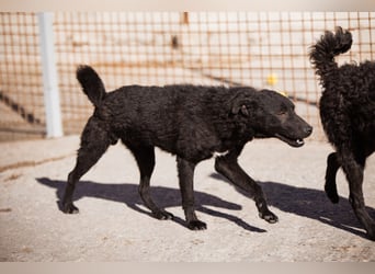 Vinn ❤️ schmusiger, süßer Bub sucht Liebe