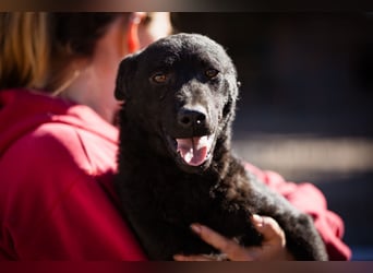 Vinn ❤️ schmusiger, süßer Bub sucht Liebe