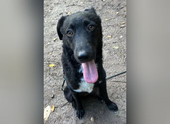 Elsie ❤️ wartet in 09648 Mittweida