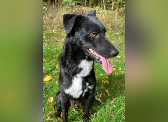 Elsie ❤️ wartet in 09648 Mittweida