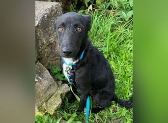 Elsie ❤️ wartet in 09648 Mittweida Elsie ❤️ wartet in 09648 Mittweida