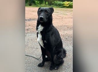 Elsie ❤️ wartet in 09648 Mittweida