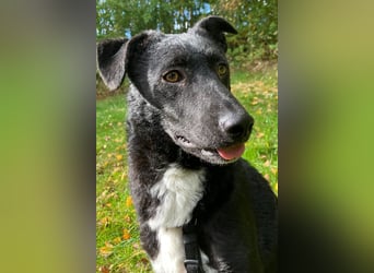 Elsie ❤️ wartet in 09648 Mittweida