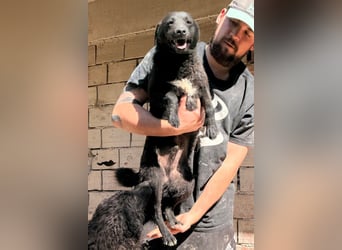 Vinn ❤️ schmusiger, süßer Bub sucht Liebe