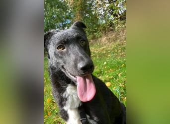 Elsie ❤️ wartet in 09648 Mittweida