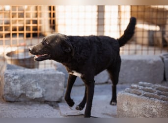 Vinn ❤️ schmusiger, süßer Bub sucht Liebe