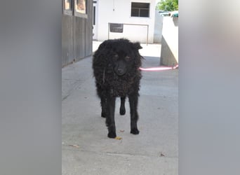 Juliška ❤ mit sanftem und zärtlichem Wesen