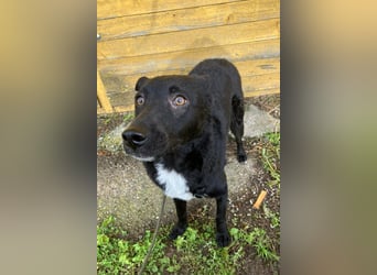 Elsie ❤️ wartet in 09648 Mittweida Elsie ❤️ wartet in 09648 Mittweida