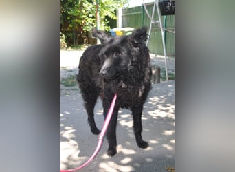 Juliška ❤ mit sanftem und zärtlichem Wesen