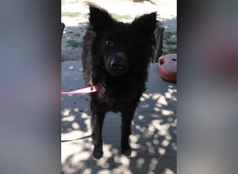 Juliška ❤ sanfte und zärtliche Hündin