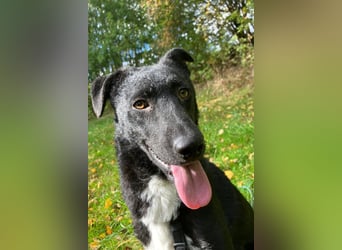 Elsie ❤️ wartet in 09648 Mittweida