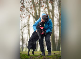 ❤️ Janja Sportlicher Hund mit Kuschelbonus