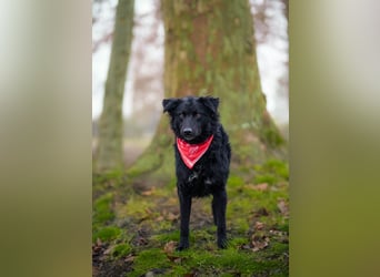 ❤️ Janja Sportlicher Hund mit Kuschelbonus