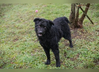 NOX - ich freue mich auf tolle Abenteuer mit meiner Familie!