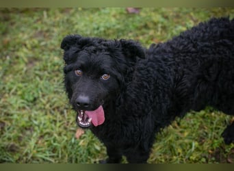 NOX - ich freue mich auf tolle Abenteuer mit meiner Familie!