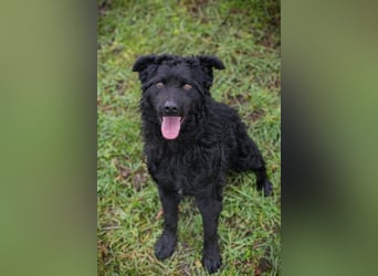 NOX - ich freue mich auf tolle Abenteuer mit meiner Familie!