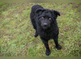 NOX - ich freue mich auf tolle Abenteuer mit meiner Familie!