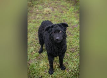 NOX - ich freue mich auf tolle Abenteuer mit meiner Familie!