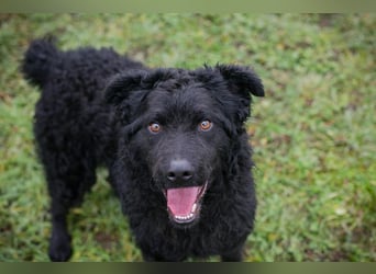 NOX - ich freue mich auf tolle Abenteuer mit meiner Familie!