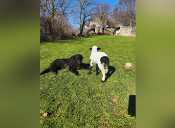 BIKE sucht seine Herzmenschen❤️