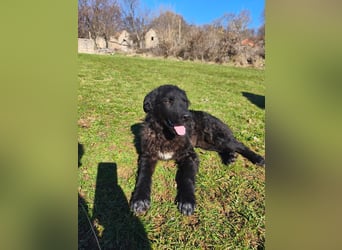 BIKE sucht seine Herzmenschen❤️