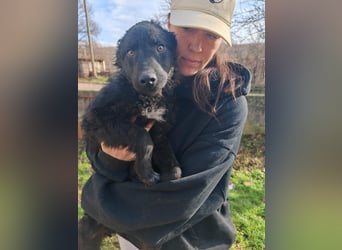 BIKE sucht seine Herzmenschen❤️