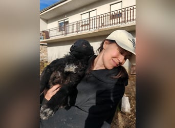 BIKE sucht seine Herzmenschen❤️