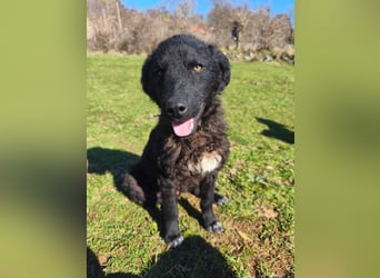 BIKE sucht seine Herzmenschen❤️