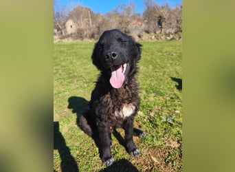 BIKE sucht seine Herzmenschen❤️