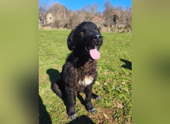 BIKE sucht seine Herzmenschen❤️