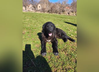 BIKE sucht seine Herzmenschen❤️