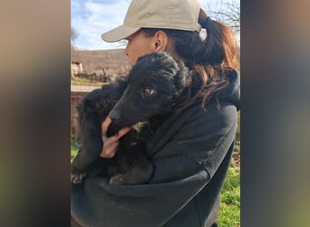 BIKE sucht seine Herzmenschen❤️