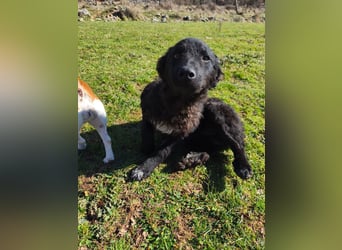 BIKE sucht seine Herzmenschen❤️