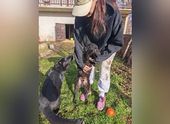 BIKE sucht seine Herzmenschen❤️