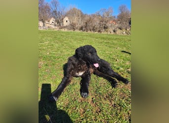 BIKE sucht seine Herzmenschen❤️