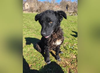 BIKE sucht seine Herzmenschen❤️